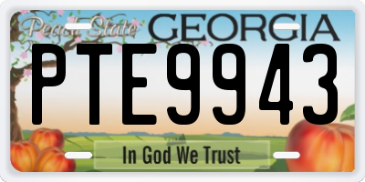 GA license plate PTE9943
