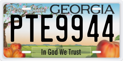 GA license plate PTE9944