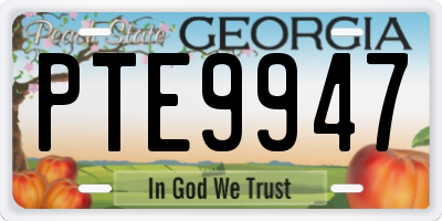 GA license plate PTE9947