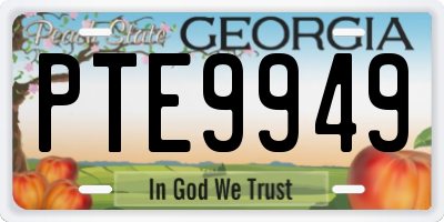 GA license plate PTE9949