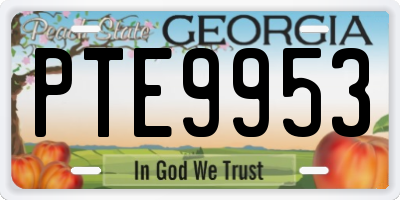 GA license plate PTE9953