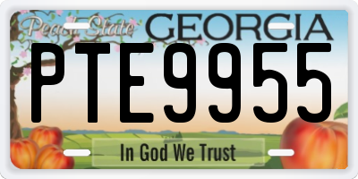 GA license plate PTE9955