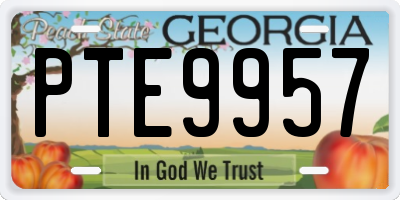 GA license plate PTE9957