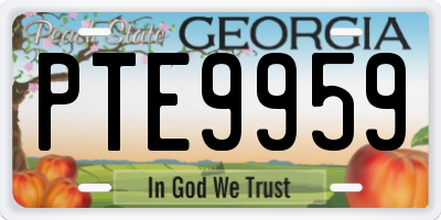 GA license plate PTE9959