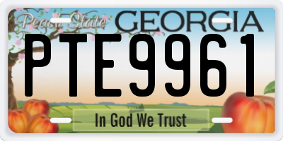 GA license plate PTE9961