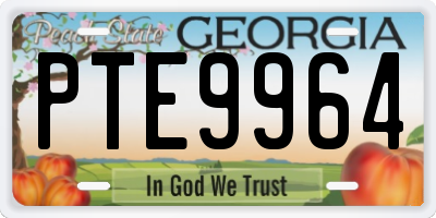 GA license plate PTE9964