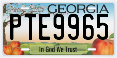 GA license plate PTE9965