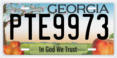 GA license plate PTE9973
