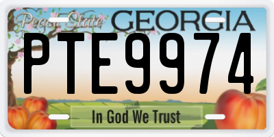 GA license plate PTE9974