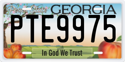 GA license plate PTE9975