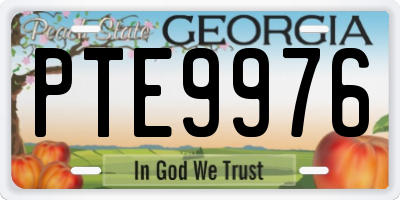 GA license plate PTE9976