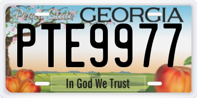 GA license plate PTE9977