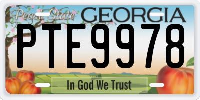 GA license plate PTE9978