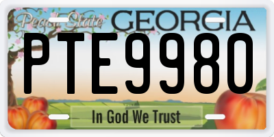 GA license plate PTE9980