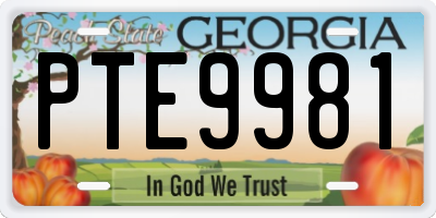 GA license plate PTE9981