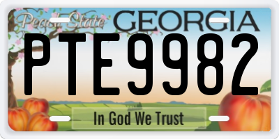 GA license plate PTE9982