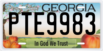GA license plate PTE9983