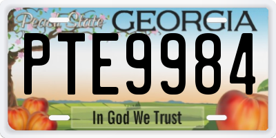 GA license plate PTE9984