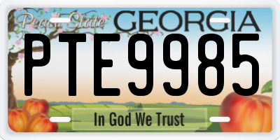 GA license plate PTE9985