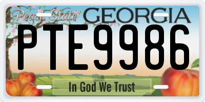 GA license plate PTE9986