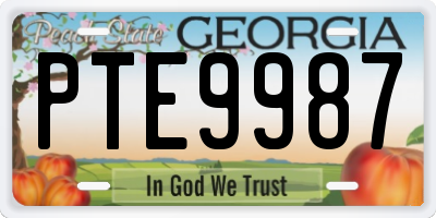 GA license plate PTE9987