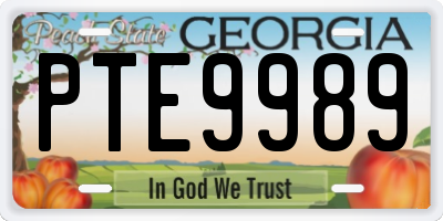 GA license plate PTE9989