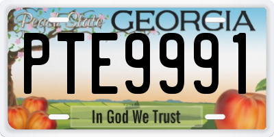 GA license plate PTE9991