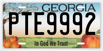 GA license plate PTE9992