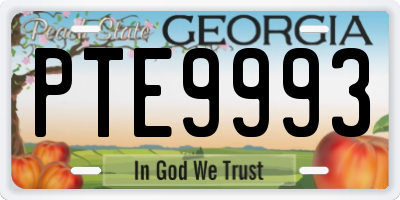 GA license plate PTE9993