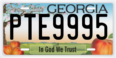 GA license plate PTE9995