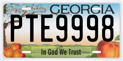 GA license plate PTE9998