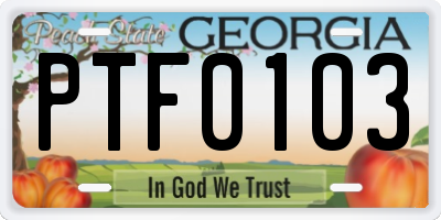GA license plate PTF0103