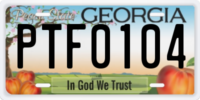 GA license plate PTF0104