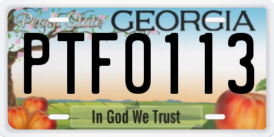 GA license plate PTF0113