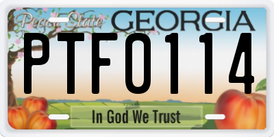 GA license plate PTF0114