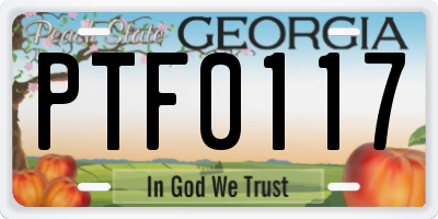 GA license plate PTF0117
