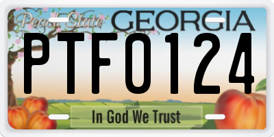 GA license plate PTF0124