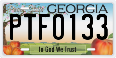 GA license plate PTF0133
