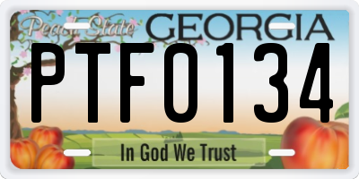 GA license plate PTF0134