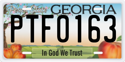 GA license plate PTF0163