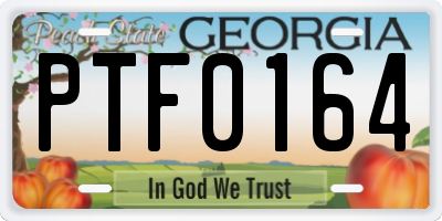 GA license plate PTF0164