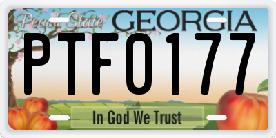 GA license plate PTF0177