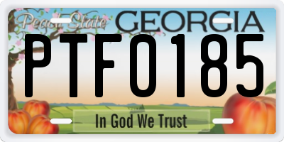 GA license plate PTF0185