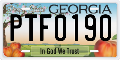 GA license plate PTF0190