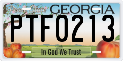 GA license plate PTF0213