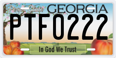 GA license plate PTF0222