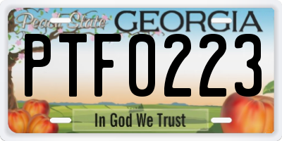 GA license plate PTF0223