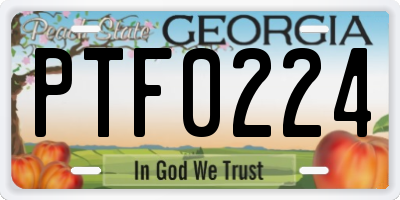 GA license plate PTF0224