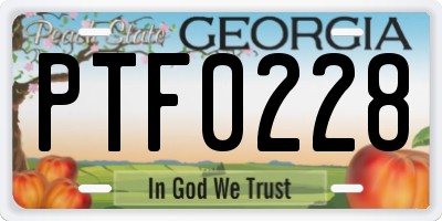 GA license plate PTF0228