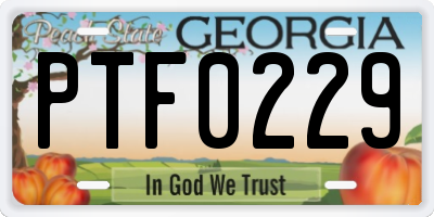 GA license plate PTF0229